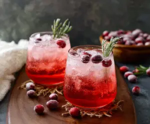 Refreshing Cranberry Gin Fizz cocktail with fresh cranberries and lime in a tall glass for summer drinks.