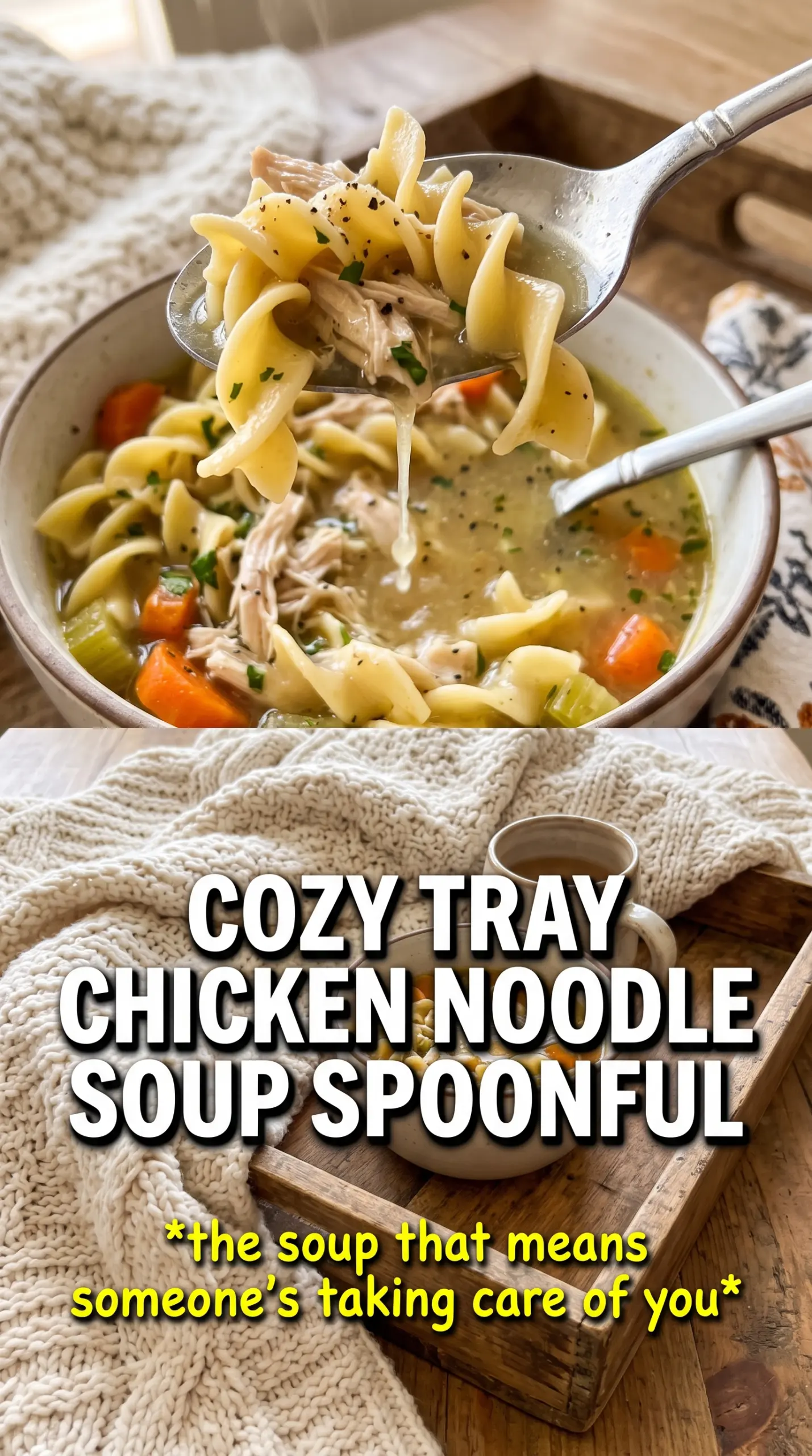 Chicken Noodle Soup classic savory