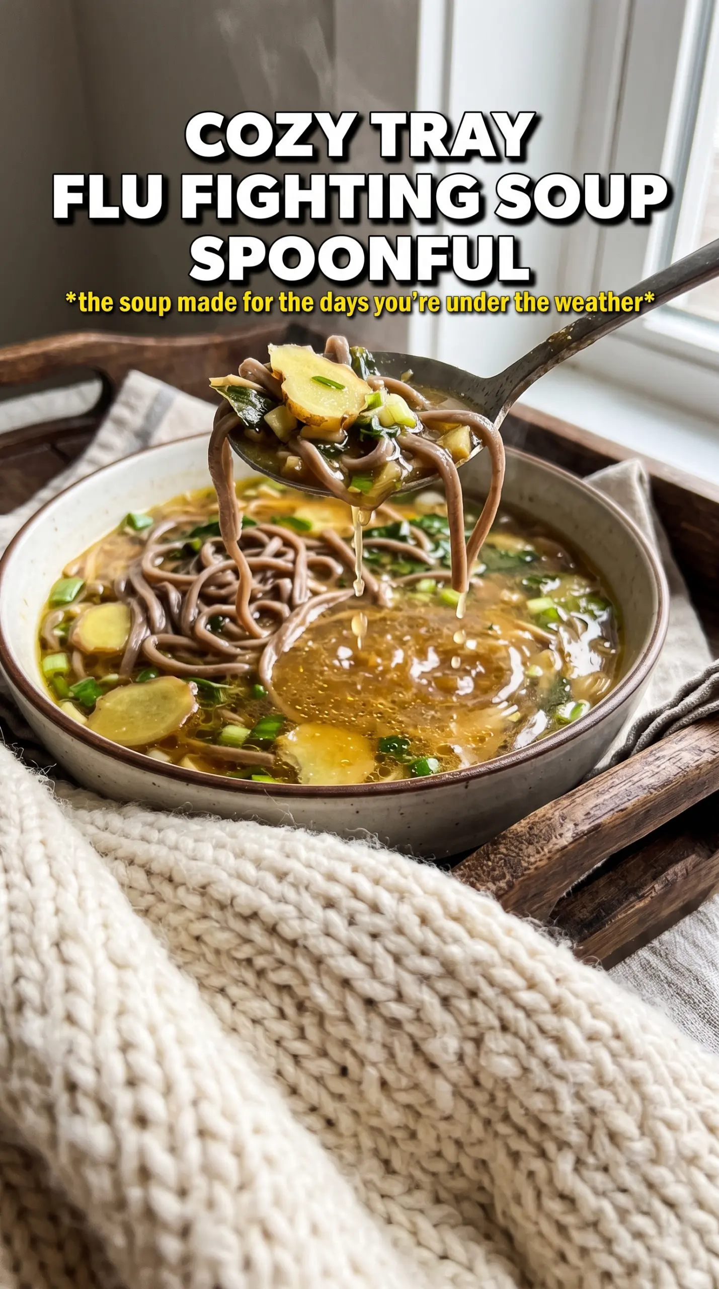 Flu-Fighting Chicken Noodle Soup golden ginger broth