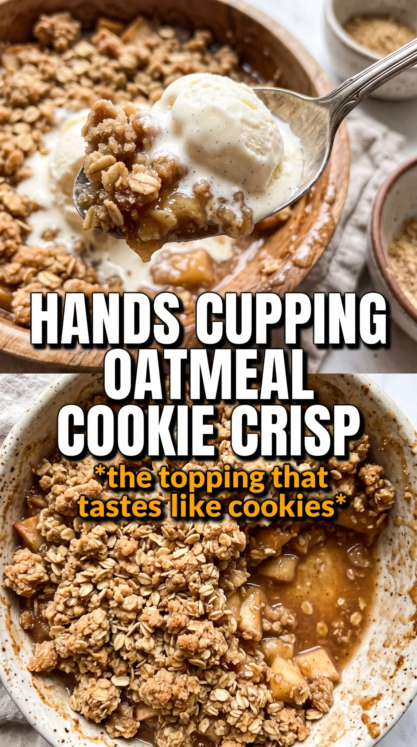 Oatmeal Cookie Apple Crisp golden crumbly, cinnamon apple